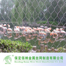 Hebei Baina Zoo Aviary Mesh en acier inoxydable